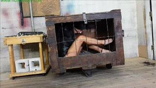 Pulled from her cage, impaled on a dildo for multiple bound orgasms (MP4 HD 6000kbps)