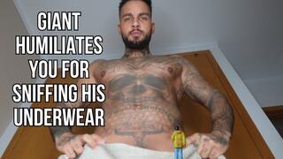 Giant humiliates you for sniffing his underwear - Lalo Cortez