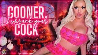 Gooner, I Shrunk Your Cock (1080 MP4)
