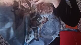 blow foil balloons with hellium