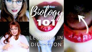 Biology 101: Lessons in Vore Digestion (ASMR)