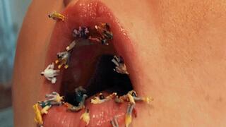 Unlucky lunch for Giantess Diana MP4