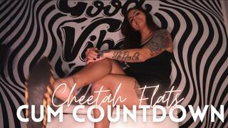 Cheetah Flats Cum Countdown - HD