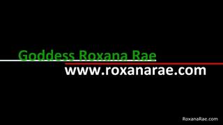 Sissy Christmas Stocking