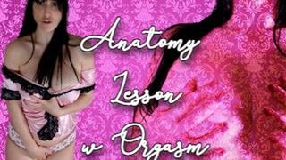 Anatomy Lesson w Orgasm wmv