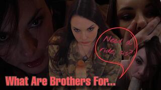 What Are StepBrothers For