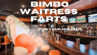 Bimbo Waitress Farts (480MP4)