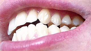 swallow and chew mp4