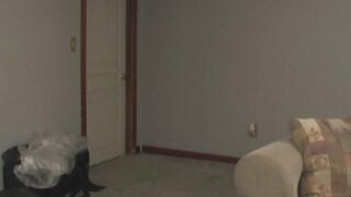 Hot Wife Cassie The Massage Lady Fucked By Young Asian Guy Bareback! (wmv)