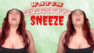 Watch Scarlett Sneeze (wmv)