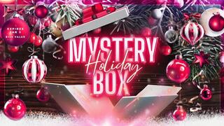 MYSTERY BOX ONE: $148 Value (SD WMV)