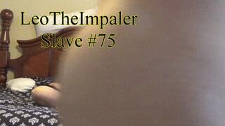 (HD) Slave #75 - Slave: Three-Hole Impaling with Ass-to-Mouth Action and Facial, Angle 1 of 2