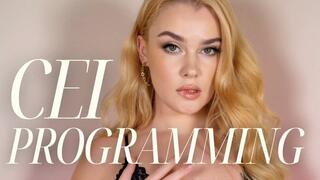 CEI Programming - A First Time CEI Guide