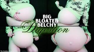 Big Bloated Belchy Digestion - HD