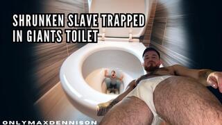 Shrunken slave trapped in giants toilet