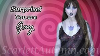 Surprise! You are gay - WMV SD 480p