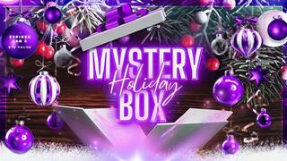 MYSTERY BOX TWO: $78 VALUE (SD WMV)