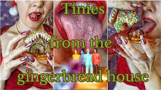 Tinies from the gingerbread house