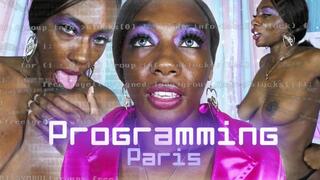 Programming Paris (HD MP4)