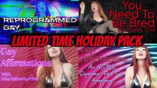 A Big Gay Holiday Pack WMV
