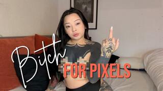 Bitch For Pixels