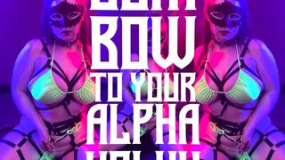 Bow To Your Alpha