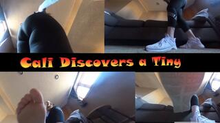 VR 360 Giantess Cali discovers a tiny
