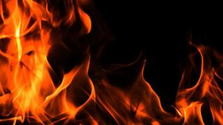 Tickle Talk with Terra Mizu