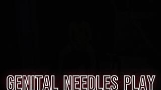 Mistress Magda - Genital needles play HD