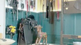 I'll step on your dick