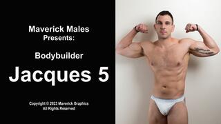 Bodybuilder Jacques Muscle Worship 5 and BJ (1080P)