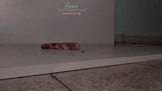 Barefoot steak crush fetish - meat food crush