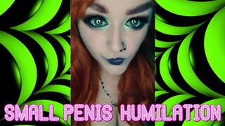 Small Penis Humiliation Includes Verbal Insults