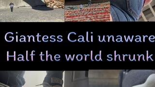 Giantess Cali unaware half the world shrunk