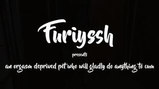 Rub against your master's leg and cum