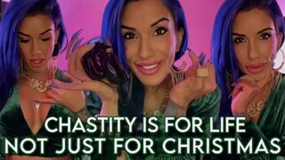 Chastity is For Life, Not Just For Christmas