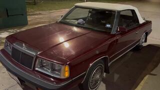 Sexy Black Girl Pumps in Erotic Dress & Tan Pantyhose - 86’ old school