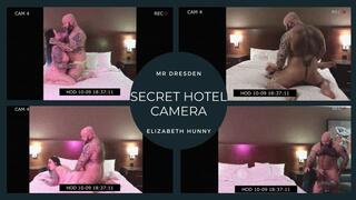 Secret Hotel CCTV Catches Submissive Slut Getting Fucked