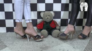 Teddy trample