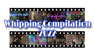 Whipping Compilation 2022 (480p)