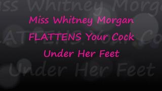 Whitney Morgan Flattens Your Cock Under Her Feet - mp4