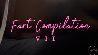 Fart Compilation VII