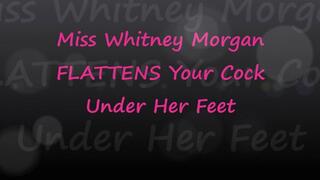 Whitney Morgan Flattens Your Cock Under Her Feet - wmv