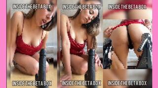 INSIDE THE BETA BOX Cock Tease
