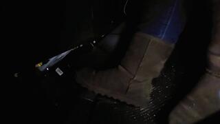 Driving in Brown Bearpaws