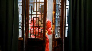 H02_General raised a rabbit fairy