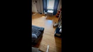 The Indestructible Tiny