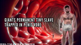 Giants permanent tiny slave trapped in penis vore