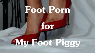 Foot Porn for My Foot Piggy XHD (WMV)
