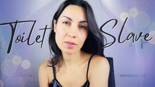 A toilet slave